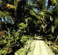 /album/galleria-foto-74/jardin3-gif/