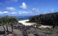/album/galleria-foto-54/anse-ali-2-jpg/