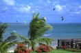 /album/galleria-foto-54/fete-de-la-voile-jpg/