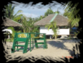 /album/galleria-foto-80/bungalows-masoala-resort-2-png/
