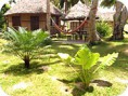/album/galleria-foto-81/jardin-jpg/